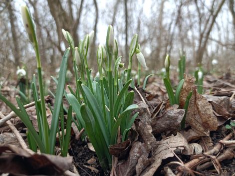 h260214-2.jpg h260214-2.jpg